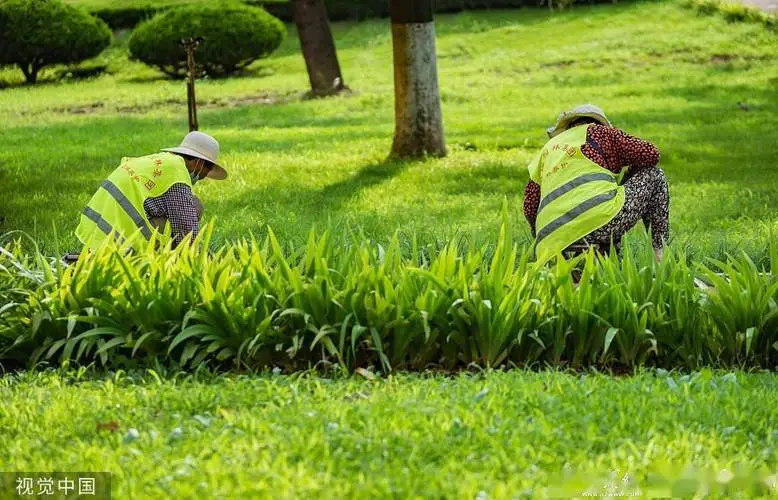 50平米后花园园林景观设计