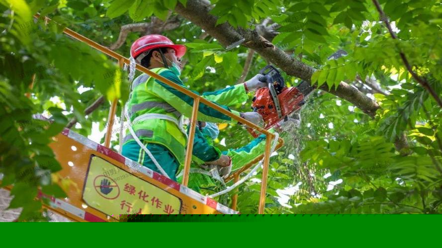 别墅户外园林景观设计